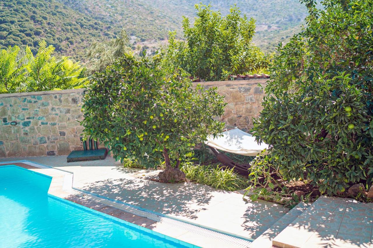 Villa Aleva Bali  Εξωτερικό φωτογραφία